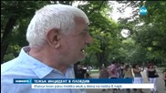Паднал клон рани мъж и жена в Пловдив