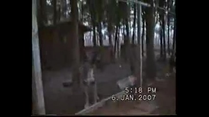 Kangal vs Кангал