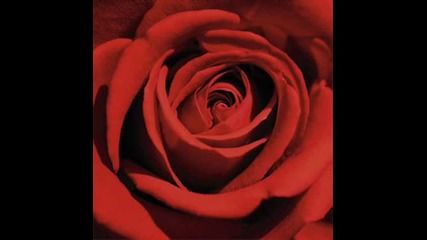 Evanescence - Lacrymosa (red roses)