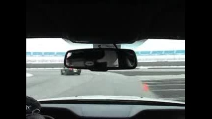 Mustang Running