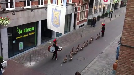 Парада на гъските