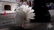 Разходка с бели гълъби в Стария град - Пловдив
