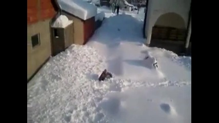Луд скок от покрива в снега