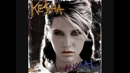 Kesha - Your Love is My Drug 