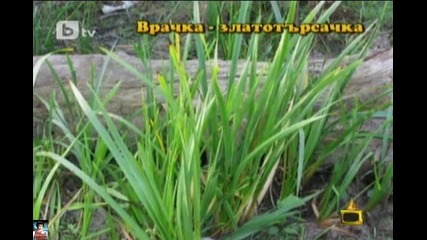 29.02. - Господари на ефира, Цялото шоу