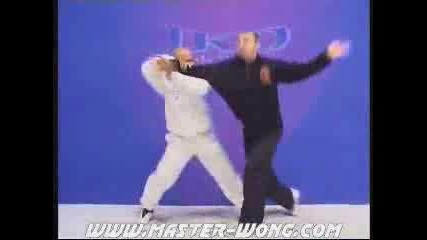 Jeet Kune Do Street Fight Demo