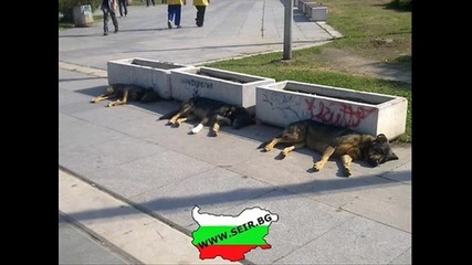 Топ 10 смешни български снимки - Част 4