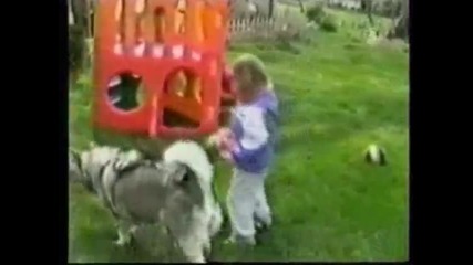Компилация смях с кучета