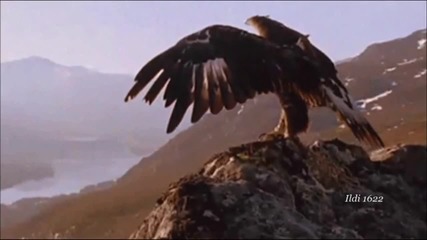 Dane Winner - El Condor Pasa