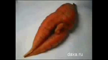 !!!най - смешните снимки в света!!!!!смях!!! 