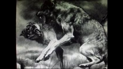 Wolfs..by Hallo_95