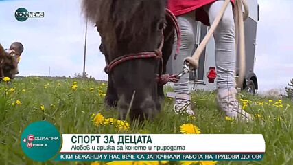 Спорт за деца: Любов и грижа за конете и природата