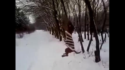 Питбул отчаяно се опитва да счупи клон