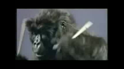 Phil Collins gorilla Drummer Cadbury Ad