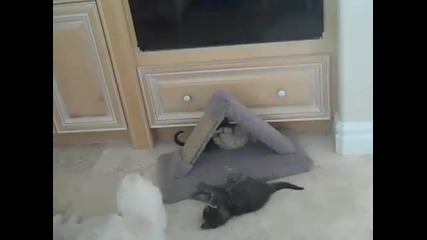 Голямо меле става