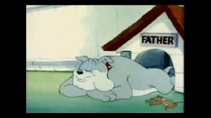 Tom & Jerry - Love That Pup