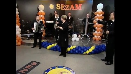 Goca Stojicevic- Pusti me da nadjem srcu lek