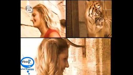 Ford Boyard 2 - Турски Отбор №4
