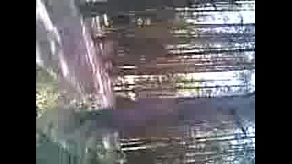 Камбаните скокове