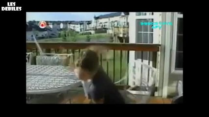 Направо Ще Се Разплачете От Смях 