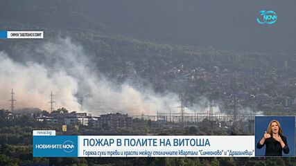 Пожар изпепели ниска растителност в София