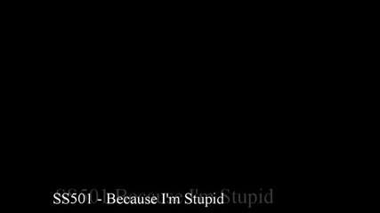ss501 - because Im stupid (english version)