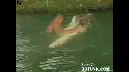Мъж Плува Сред Гигантски Крокодил (страшно и Удивително