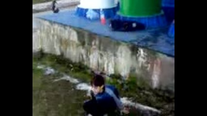 Front Flip 