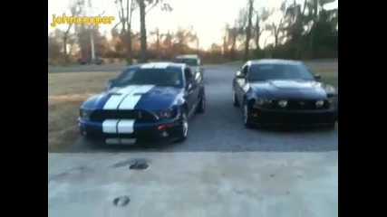 Ford Mustang Gt500 vs Ford Mustang Gt 5.0 - Звук 