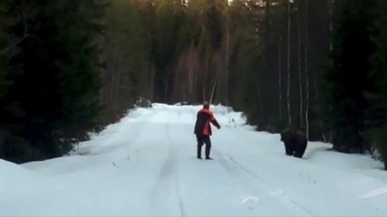 Швед показва какво да направиш, ако те нападне мечка