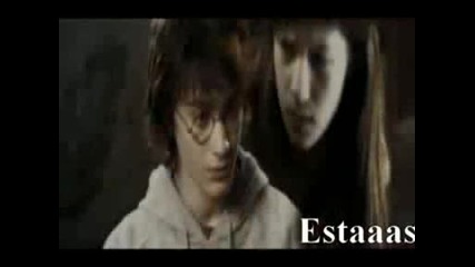 Hermioneharryginny - Martial Law