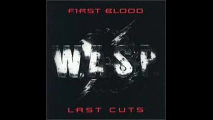 W.a.s.p. - I Don't Need No Doctor (remix)