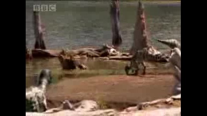 Dinosaurs death Bbc
