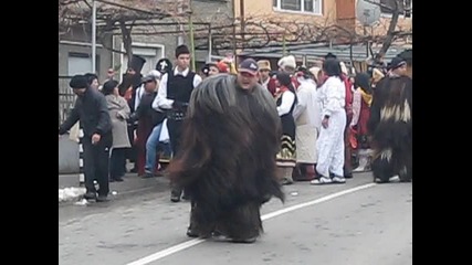 surva 01.01.2012