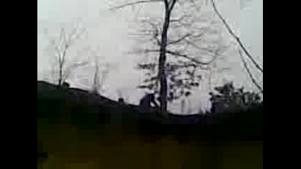 Ali Reza4kata