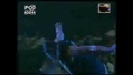 Jeff Hardys New Entrance