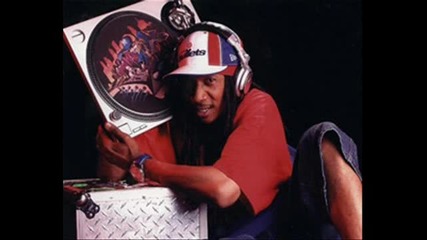 Dj Kool - Bad Boy Party 2 