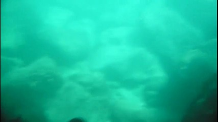 Под вода ... на Тюленово