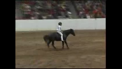Reining Horse finals