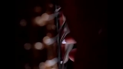 Pantera - 5 Minutes Alone (official Video)