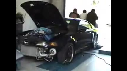 Twin Turbo Mustang Cobra Tt On The Dyno 