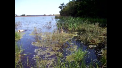 100_2008