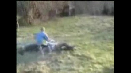 Пич Се Пребива С Мотор