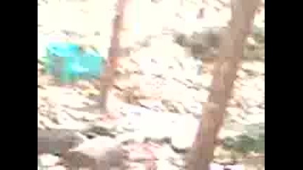 Mov0014a.3gp