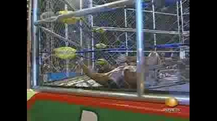 A A A Team Konnan vs. Team Team Roldan [ Position vs. Retirement Steel Cage match ] 22.11.08