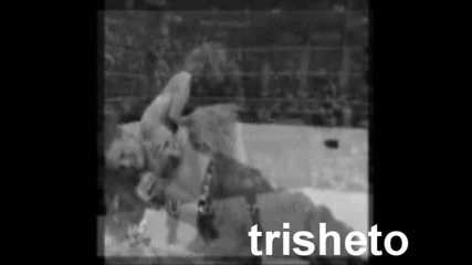 Trish Stratus 