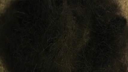 Ядосаната брада