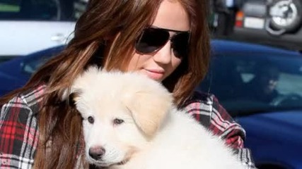 Mileytoo