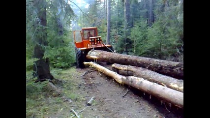 Lkt 81 klasik