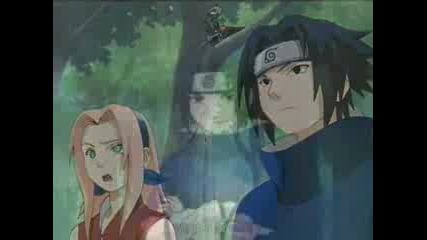 Sakura Love